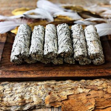 Small White Sage Smudge (10-11cm)- Tool Rolled - 20 Pack